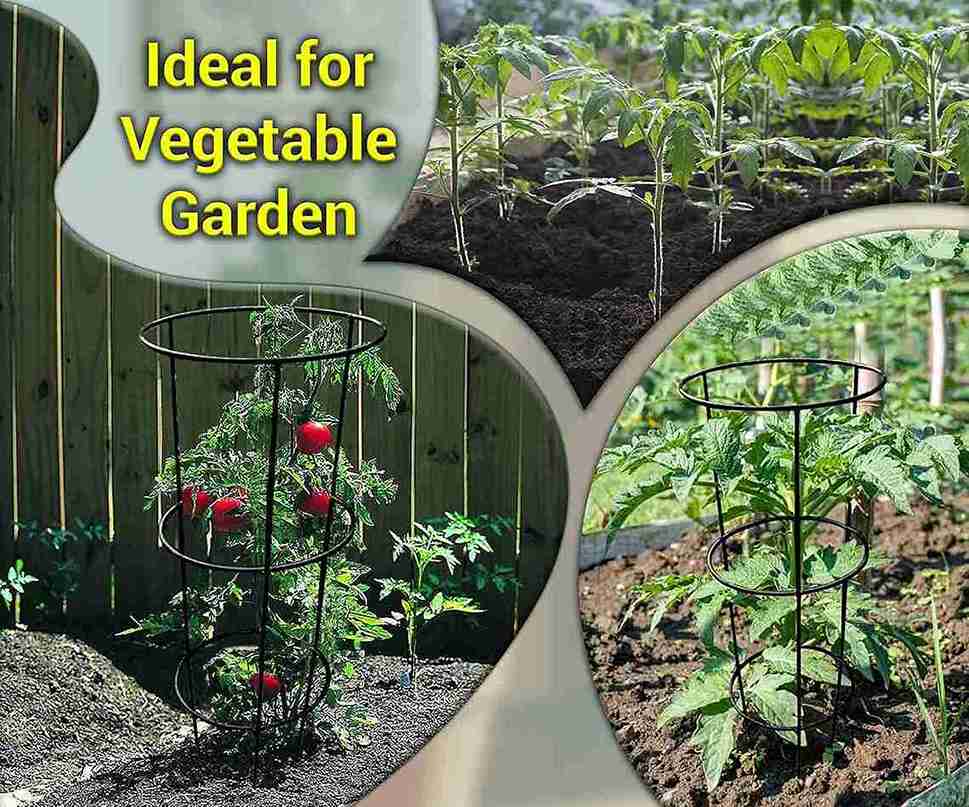 Arsuk Conical Plant Support Metal for Garden, Grow Through Circular Peony Cage 50 x 30 x 25cm (Black)